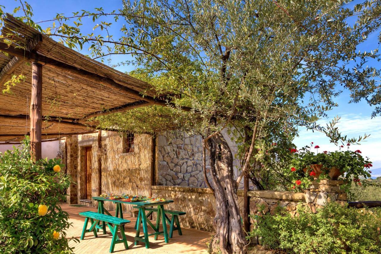 Casale La Torre Villa Massa Lubrense Dış mekan fotoğraf